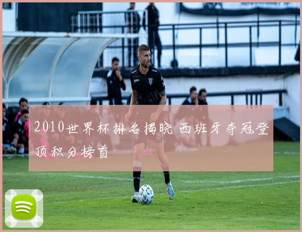2010世界杯排名揭晓 西班牙夺冠登顶积分榜首