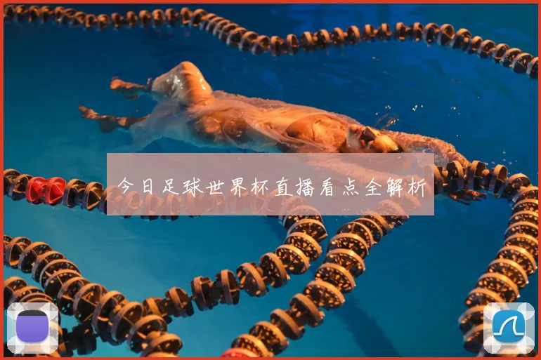 今日足球世界杯直播看点全解析