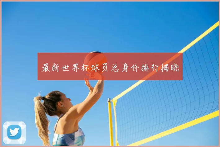最新世界杯球员总身价排行揭晓
