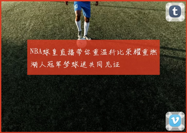 NBA球皇直播带你重温科比荣耀重燃湖人冠军梦球迷共同见证